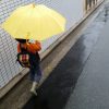 台風対策のマニュアルとチェックリスト