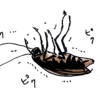 ゴキブリ駆除対策